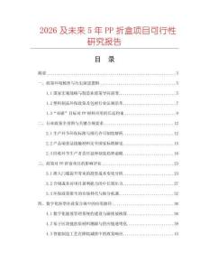 2026及未来5年PP折盒项目可行性研究报告