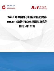 2026年中国非小细胞肺癌靶向药BRAF抑制剂行业市场规模及竞争格局分析报告