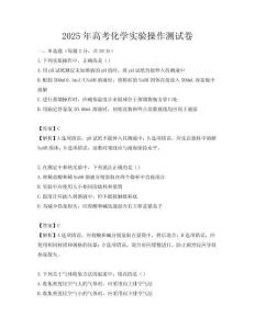2025年高考化学实验操作测试卷