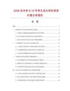 2026及未来5-10年单孔龙头项目投资价值分析报告