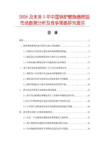2026及未来5年中国锅炉燃烧器喷咀市场数据分析及竞争策略研究报告