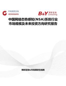 中国网络态势感知(NSA)系统行业市场规模及未来投资方向研究报告