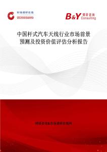 中国杆式汽车天线行业市场前景预测及投资价值评估分析报告
