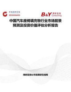 中国汽车座椅填充物行业市场前景预测及投资价值评估分析报告