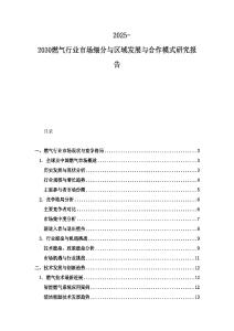 2025-2030燃气行业市场细分与区域发展与合作模式研究报告