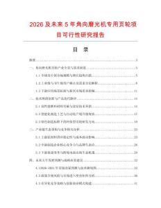 2026及未来5年角向磨光机专用页轮项目可行性研究报告