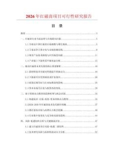 2026年红磁膏项目可行性研究报告