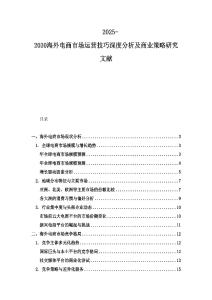 2025-2030海外电商市场运营技巧深度分析及商业策略研究文献