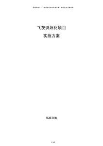 飞灰资源化项目实施方案