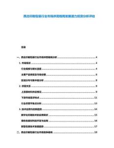 西北印刷包装行业市场供需格局发展潜力投资分析评估