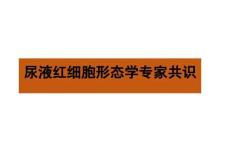 尿液红细胞形态学专家共识