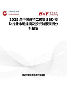 2025年中国肖特二极管SBD模块行业市场规模及投资前景预测分析报告