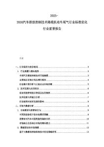2025-2030汽车排放控制技术路线机动车尾气行业标准优化行业前景报告