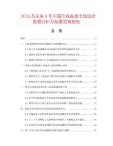 2026及未来5年中国毛线座垫市场现状数据分析及前景预测报告