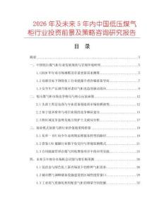 2026年及未来5年内中国低压煤气柜行业投资前景及策略咨询研究报告