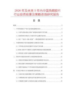 2026年及未来5年内中国热熔胶片行业投资前景及策略咨询研究报告