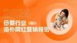2026年母婴行业海外网红营销生态报告