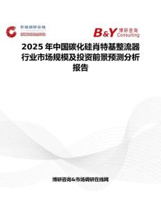 2025年中国碳化硅肖特基整流器行业市场规模及投资前景预测分析报告