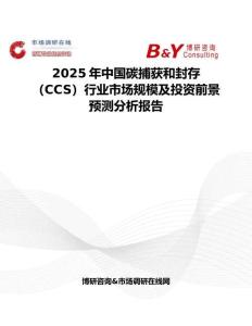 2025年中国碳捕获和封存（CCS）行业市场规模及投资前景预测分析报告