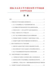 2026及未来5年中国软性剪刀市场数据分析研究报告