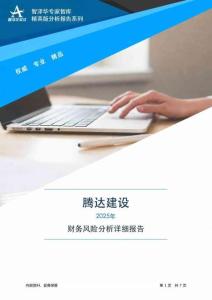 600512腾达建设2025年财务风险分析详细报告