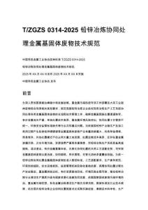 T_ZGZS 0314-2025 铅锌冶炼协同处理金属基固体废物技术规范