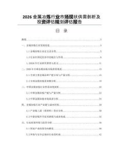 2026金属冶炼行业市场现状供需剖析及投资评估规划评估报告