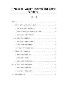 2026船舶LNG动力改造技术路线与政策支持报告