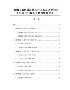 2026-2030煤炭精选行业市场深度调研及发展规划与投资前景研究报告