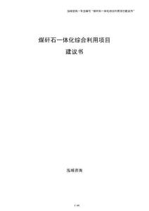煤矸石一体化综合利用项目建议书（模板）