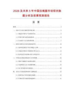 2026及未来5年中国拉绳器市场现状数据分析及前景预测报告.docx