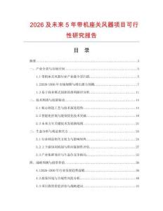 2026及未来5年带机座关风器项目可行性研究报告.docx