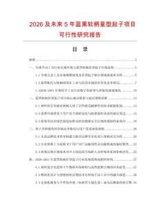 2026及未来5年蓝黑软柄星型起子项目可行性研究报告.docx