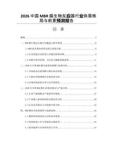2026中国MBR膜生物反应器行业供需格局与前景预测报告