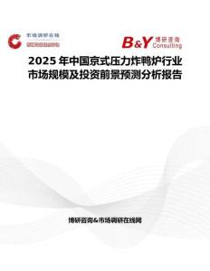 2025年中国京式压力炸鸭炉行业市场规模及投资前景预测分析报告