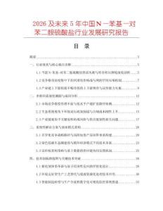2026及未来5年中国Ｎ—苯基—对苯二胺硫酸盐行业发展研究报告