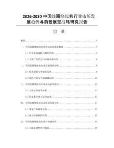 2026-2030中国线圈绕线机行业市场发展趋势与前景展望战略研究报告