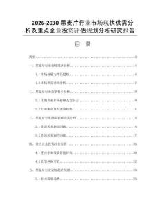 2026-2030黑麦片行业市场现状供需分析及重点企业投资评估规划分析研究报告