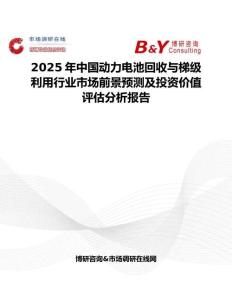 2025年中国动力电池回收与梯级利用行业市场前景预测及投资价值评估分析报告