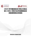 2025年中国齿轮滚刀用立方氮化硼 (CBN) 砂轮行业市场规模及投资前景预测分析报告