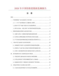 2026年中国铝粉浆数据监测报告.docx