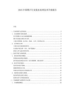 2025中国墨汁行业废水处理技术升级报告.docx