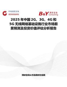 2025年中国2G、3G、4G和5G无线网络基础设施行业市场前景预测及投资价值评估分析报告
