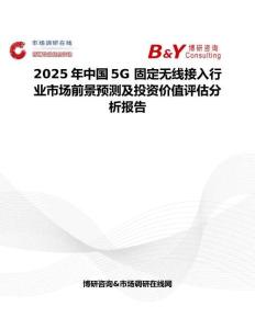 2025年中国5G 固定无线接入行业市场前景预测及投资价值评估分析报告