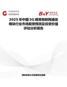 2025年中国5G蜂窝物联网通信模块行业市场前景预测及投资价值评估分析报告