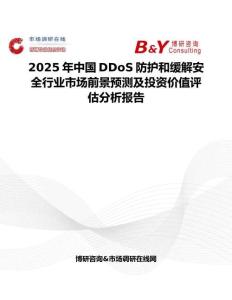 2025年中国DDoS防护和缓解安全行业市场前景预测及投资价值评估分析报告
