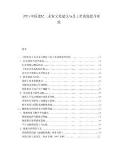 2025中国盐化工企业文化建设与员工忠诚度提升实践.docx