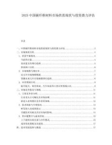 2025中国碳纤维材料市场供需现状与投资潜力评估.docx