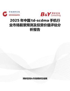 2025年中国td-scdma手机行业市场前景预测及投资价值评估分析报告
