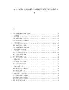 2025中国自动驾驶技术市场供需预测及投资价值报告.docx